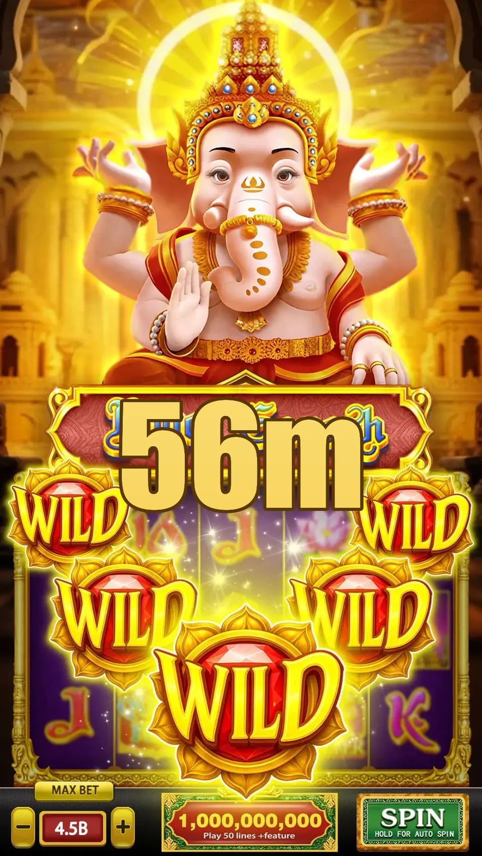 56m Login